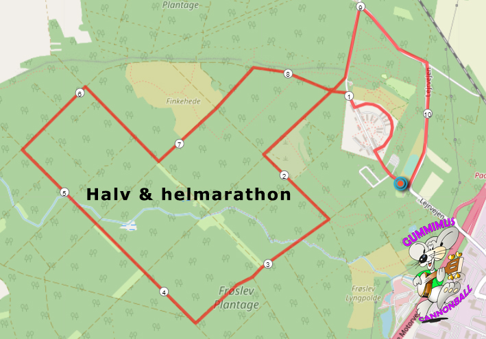 halv og helmarathon